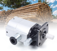 Hydraulic Wood Splitter Pump